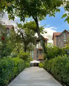 Dilijani Tun & Restaurant - 2