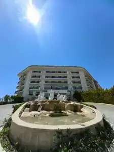 Asteria Bloom Side - 10