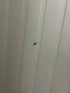 Rechnaya Recreation Center - 67