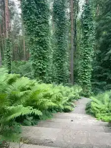 Кронон Парк - 22