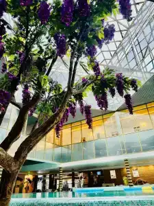 Grand Wellness Novahovo & Spa - 21