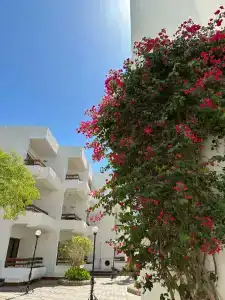 Marlin Inn Azur Resort - 48