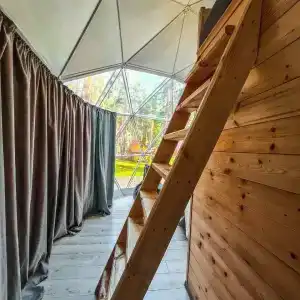 Kupolnaya baza Royal Forest - 71