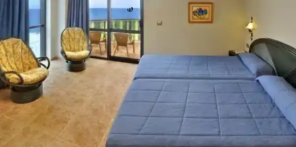 Kaktus Kaktus Albir - 26