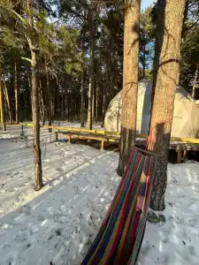 Recreation center Magic Wood - 81