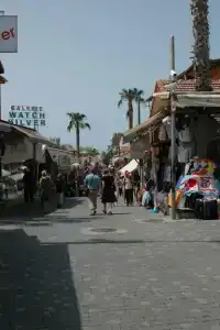 Begonville Apart - 36