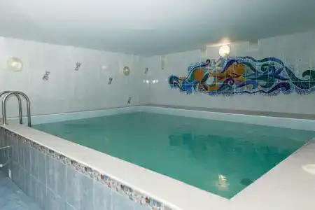 Астра - 29