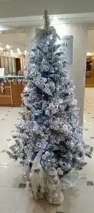 Park-New Century - 14