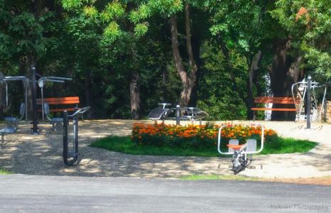 Park RAYA Garden - 19