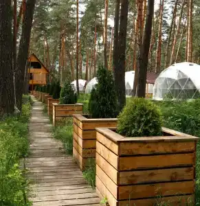 Kupolnaya baza Royal Forest - 22