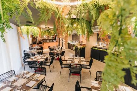 Ikyk- IK Collection - 14