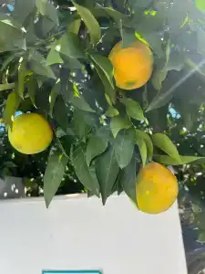 Amsterdam Boutique & Suite - 5