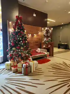 Панорама by Mercure Сочи Красная Поляна - 50