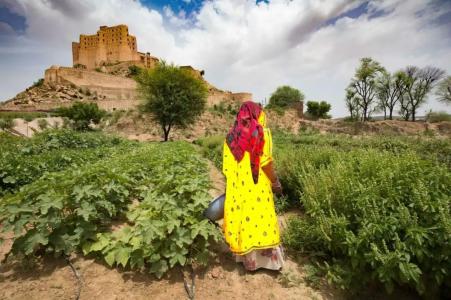 Alila Fort Bishangarh Jaipur - A Hyatt Brand - 8