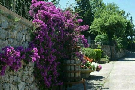 B&B Il Grappolo - 31