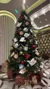 Complex Tigre de Cristal& Resort - 15