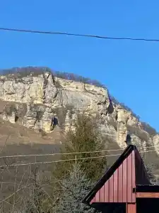 Snezhnyy Bars - 50