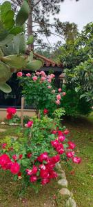 Berke Ranch&Nature - 35