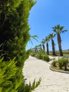 Asteria Bloom Side - 30