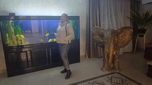 Gostinichny Kompleks "zolotoy Slon" - 80