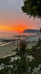 Sarıtaş - All Inclusive - 87