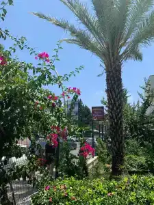 Miranda Moral Beach - 11