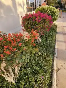 Siva Grand Beach - 20