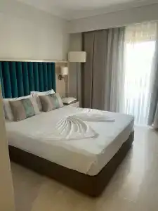 Asteria Collection - 4