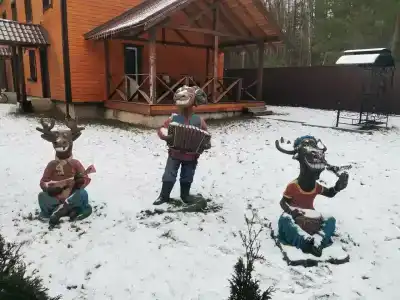 Дачный отель Лесные поляны - 24