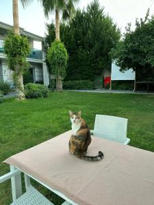 Sun Club Side - All Inclusive - 10