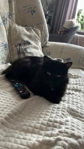 Citymax Bur Dubai - 51