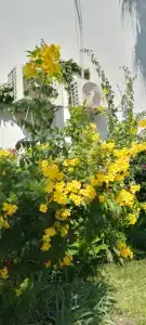 Miranda Moral Beach - 45