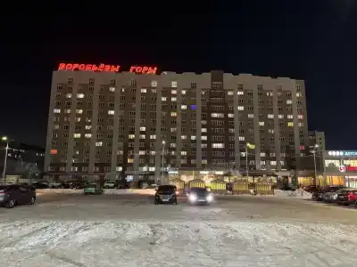 Vorob'evyi Goryi - 1