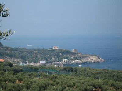 Villa Igea - 23