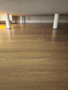 Alaiye Kleopatra - 85