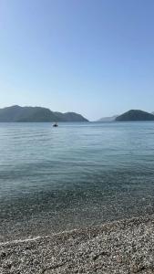 Tui Blue Grand Azur - 88