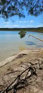 Агроусадьба Здоровей - 95