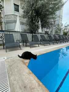 Sette Serenity - Adults Only - 20