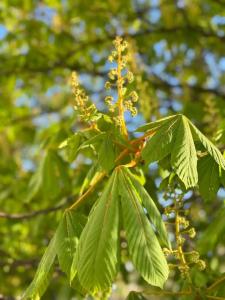 Виктория Спа Минск - 57