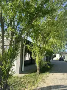 Rybolovnaya baza Klevoe Nikolskoe - 23
