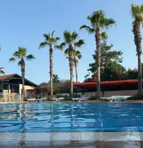 Robinson Camyuva - Adults Only - 39