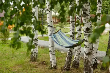 Eko-otel Mordasovo - 14