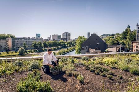 Zurich Marriott - 10