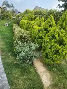 Liu Resorts - All inclusive - 26