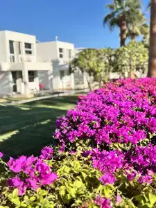 Maritim Jolie Ville Resort & Casino - 28