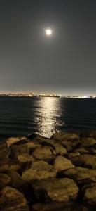 Rixos The Palm & Suites - Ultra All Inclusive - 77