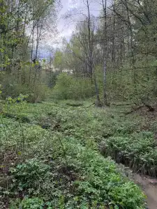 Bereza Country - 91