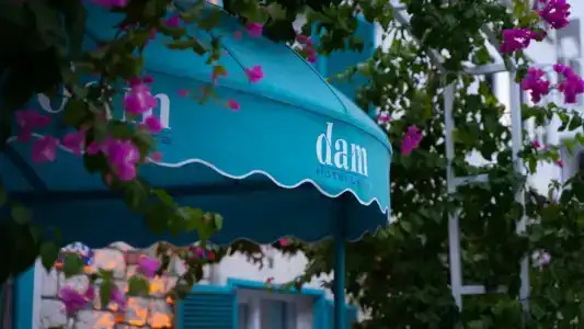 DAM Lara - 35