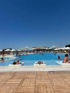 Gold Island Selected - 73