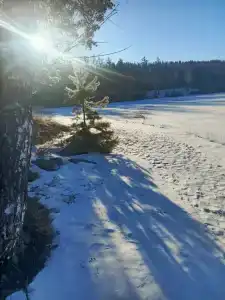 Sanatoriy-profilaktoriy Koshkul - 90